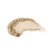 01 Beige